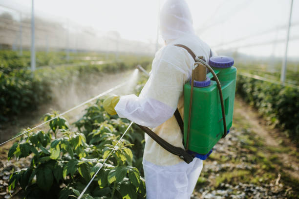 Best Bed Bug Extermination  in Westmont, NJ